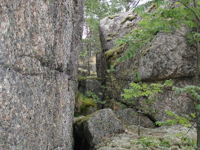 Jylha harkkamaasto.jpg